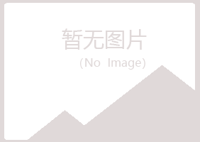 黄山区以海金属有限公司